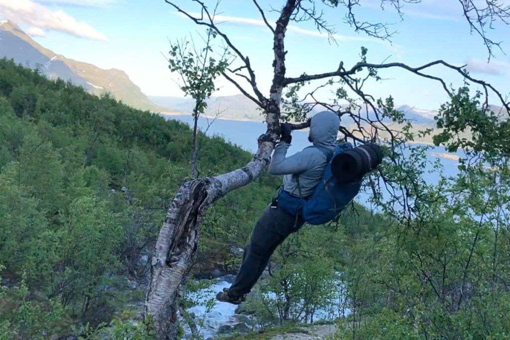 En man med ryggsäck som gör pullups i en fjällbjörk i Vakkotavare